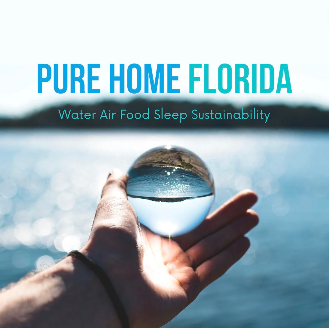 pure home Florida remediation services